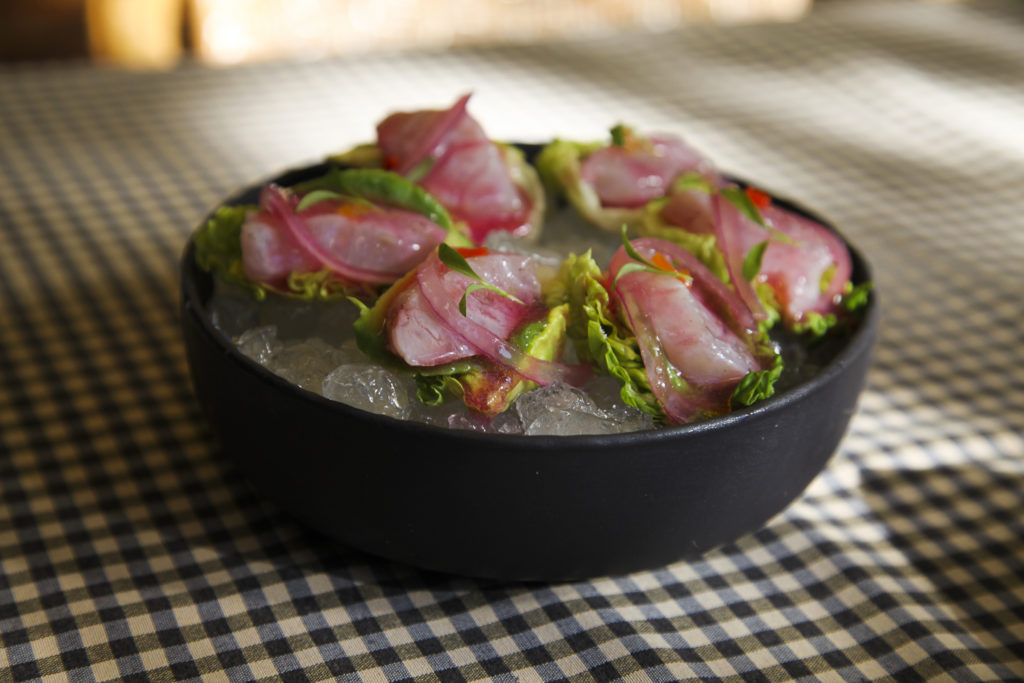 Tapas24, nicola Bramigk