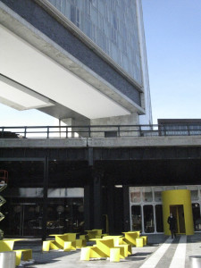 The Standard, Nicola Bramigk