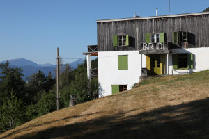 Briol, Nicola Bramigk