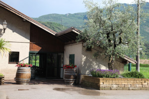 Madonna delle Vittorie, Nicola Bramigk