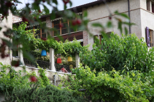 Villa Arcadio, Nicola Bramigk
