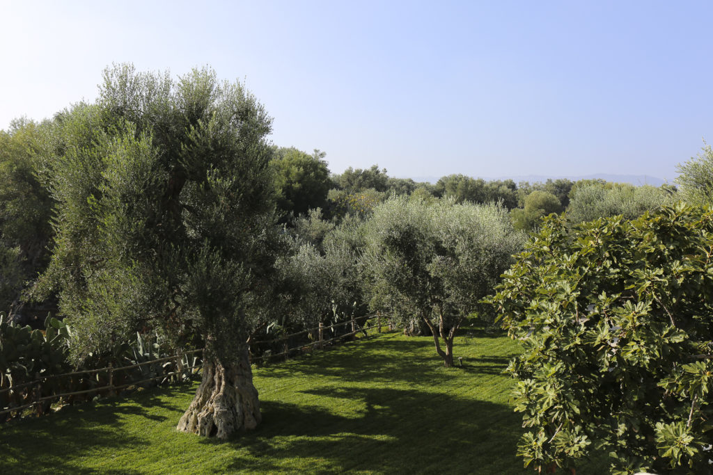 Masseria Alchimia, Nicola Bramigk