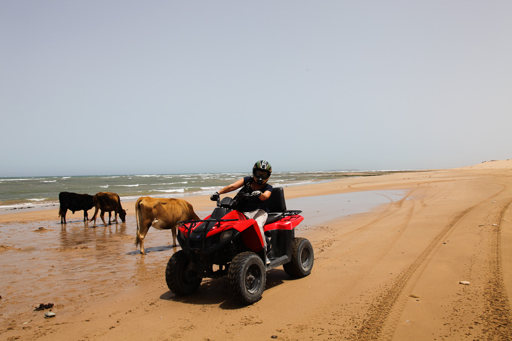Quad driving, Nicola Bramigk