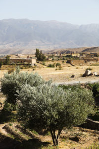Kasbah Beldi, Nicola Bramigk