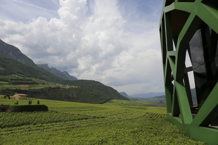 Weingut Tramin, Nicola Bramigk