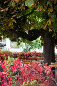 Hotel Gasthof Hirzinger, Nicola Bramigk