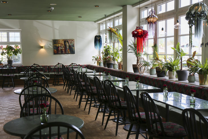 Bussy Baby Hotel, Nicola Bramigk
