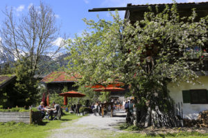 Hasenöhrl-Hof, Nicola Bramigk