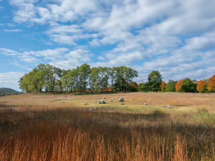 Storm King Art Center