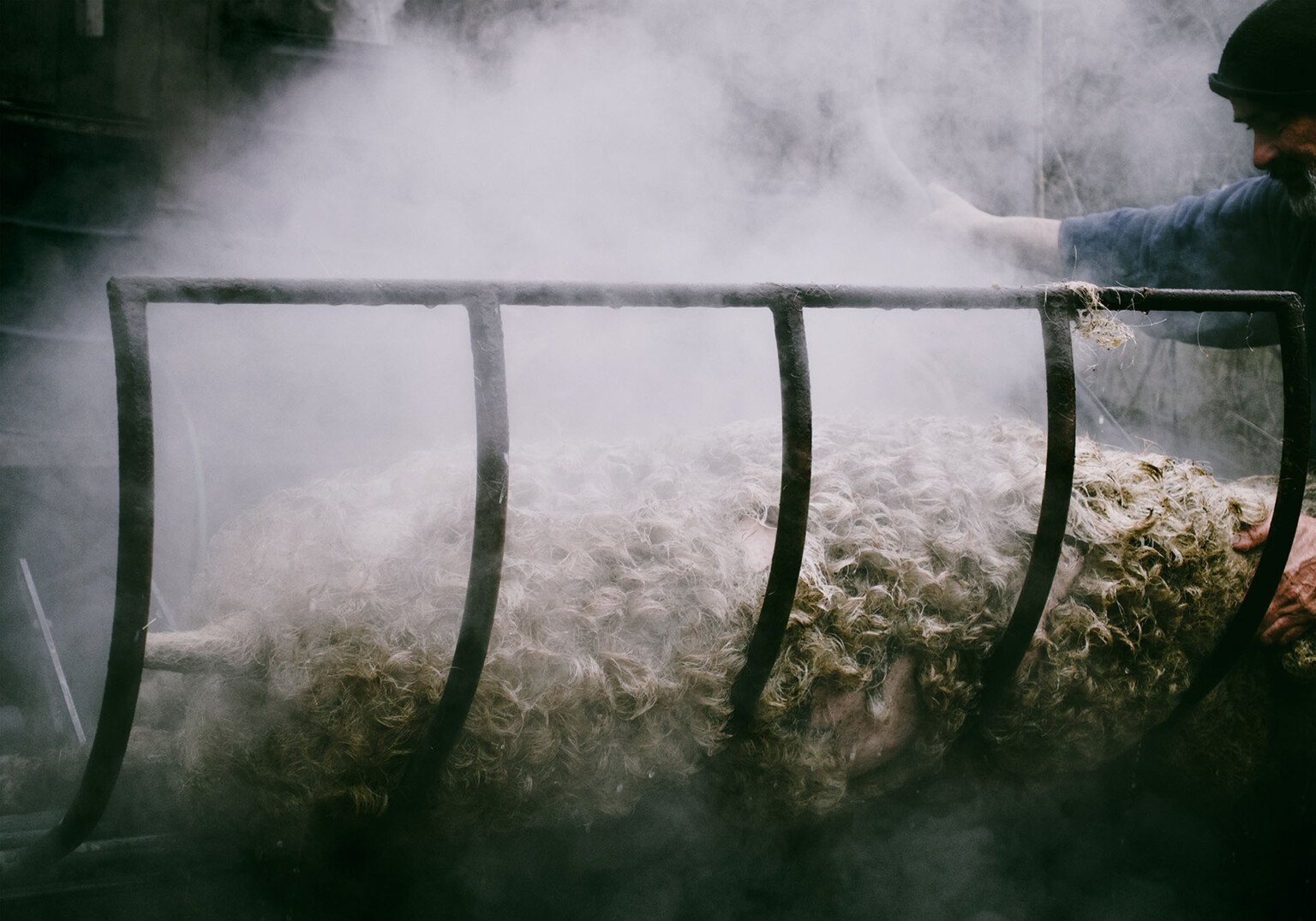 Loup garou X Blue Lime Project • Smart Travelling