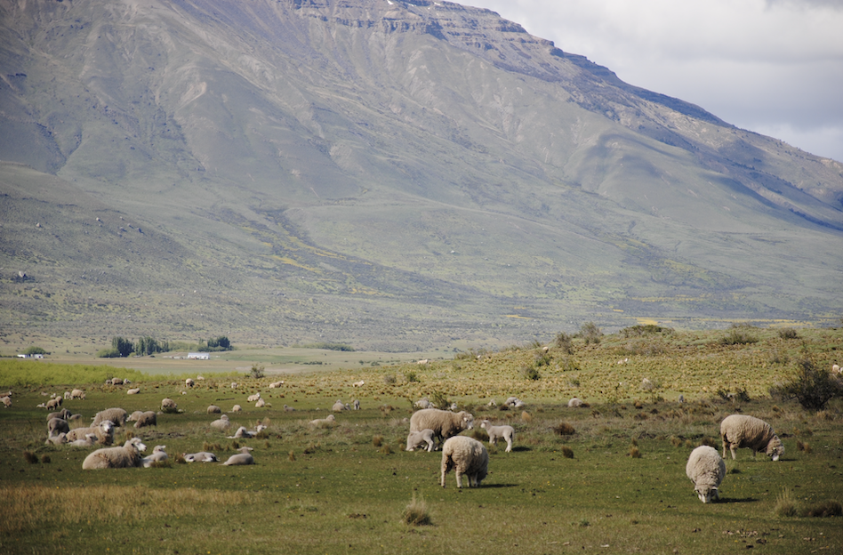 Patagonien 