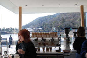 Arabica Coffee