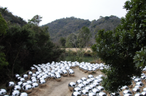 Naoshima